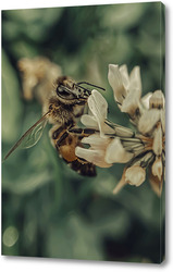   Картина Пчела на цветке
