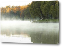  туман на озере