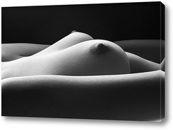    Женская грудь