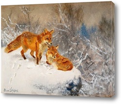   Картина Две лисы в зимний пейзаж