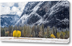   Картина Пейзажи 52044