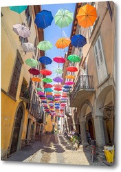    Разноцветные зонтики Пизонье