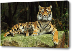   Картина Тигры 46213