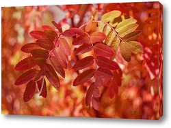   Картина Рябиновые листья 