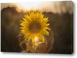   Картина "Солнечный цветок-Подсолнух".