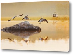   Картина Восход на озере.