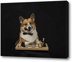   Картина шахматист