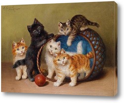  Кошки в корзине