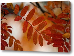  Осенние краски 