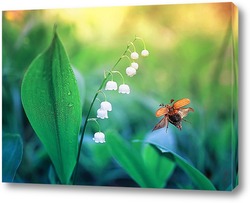   Картина майский жук над ландышами