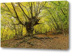   Картина Таинственный лес Демерджи