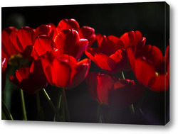   Картина красные тюльпаны