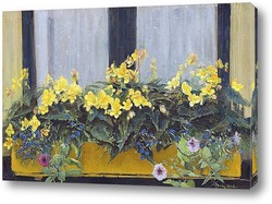   Цветы в оконной коробке: желтые бегонии, незабудки и петунии