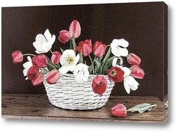  Белые тюльпаны