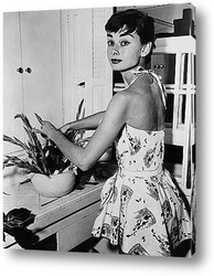   Картина Одри Хёпбёрн на кухне,1954г.