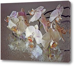    Орхидея на мокром стекле