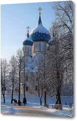  Новодевичий монастырь. Москва