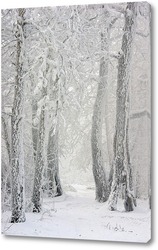   Картина Дорога в зимнем лесу