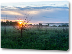  Картина Field and forest at sunset. Tree silhouettes close-up. Evening fog, twilight sky, moonlight. Dark spring landscape. Pastoral rural scene. Nature, seasons, ecology, weather. Panoramic view, copy space