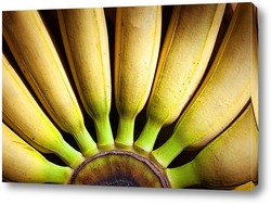   Картина Бананы