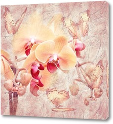    Нежные орхидеи