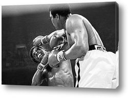  Rocky Marciano-3