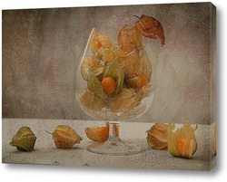  Калина ( 3 вариант)