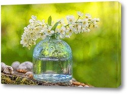  Букет черёмухи