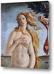   Картина Botticelli-2