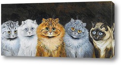    Пять кошек