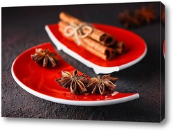   Картина Корица и анис на красной расколотой тарелке.