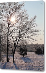   Картина зимнее солнце