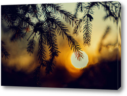   Картина Закат в лесу