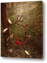   Картина Лесные птицы