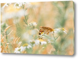   Картина Лето бабочек