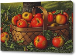    Яблоки в корзине 