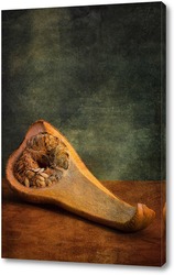   Картина Анатомия тыквы