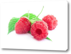   Картина Raspberry on white background