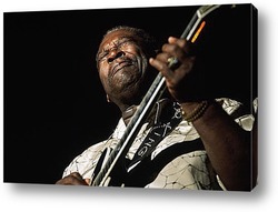   Картина B.B.King