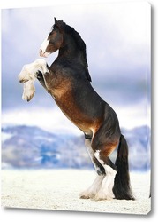   Картина Величие лошади