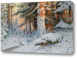   Картина Зимняя Лесистая местность в Солнечном свете