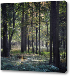   Картина Летний лес