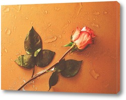   Картина роза на мокром стекле