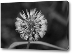 Картина одуванчик