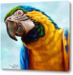   Картина Попугай ара