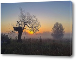  Поваленное дерево на снегу