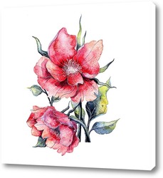  Pink roses in the garden. Floral summer background..