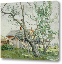   Картина Деревья освещенные солнцем во дворе дома