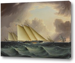   Картина Гонки в гавани Нью-Йорка