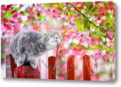  Картина котенок в майском саду